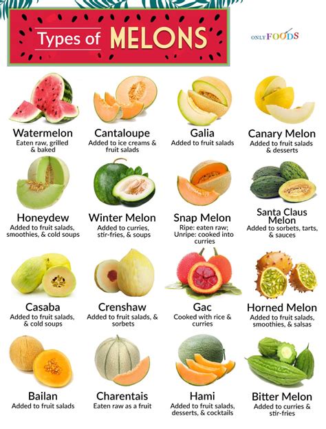 bigmelons|Popular Categories